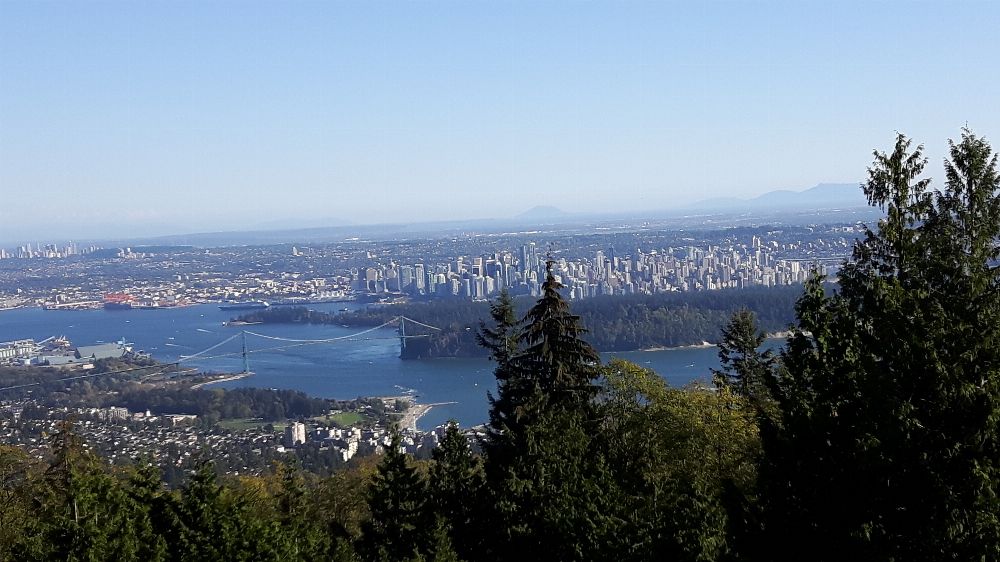 Vancouver Lookout - Insights and Tips